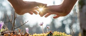 healing hands over nature